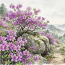 [스무 번째 이야기] 꽃을 들려주는 카페: 산철쭉 이미지