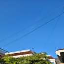 뚱이모네 분식 이미지