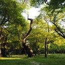 계림주유소 - 경주시 용담로 54 | 계림주유소