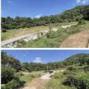 야로면사무소 이미지