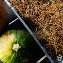 장익는마을 이미지