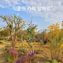 알베로하우스 | 김해 대동 카페 알베로 가을 정원이 아름다운 식물원 카페 모과와 감이 절정