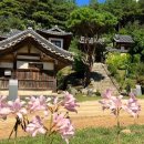 안동김씨 사충문 | 경북 안동 가볼만한곳 추천 [군자마을] 600년 역사 한옥마을