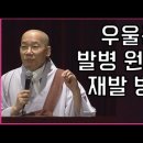 스트레스 관리와 알아차림 명상(7), 우울증의 원인과 극복 이미지