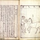영원부원군 묘 | ◎ 완풍 부원군(完豊府院君) 이서(李曙)
