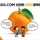 닷컴
