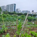 희정이네농장 이미지