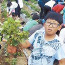 모시밭 민박 이미지