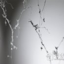 자기전