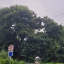 무곡농장 이미지