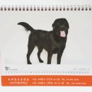 두리틀동물병원 이미지