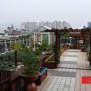 서구 중앙어린이집 이미지