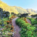 자립농장 | 10월[우프랑 농農!담]- &lt;지속가능한 삶의 현장, 치유받는 한국형 퍼머컬처 농장&gt; 후기