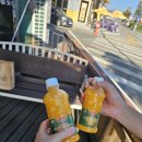 7359 | 바다 보면서 갓 구운 십원빵! 구읍뱃터 카페 경주십원빵 영종구읍뱃터점 후기