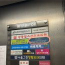 해솔김밥 | [강동] 손상모 케어는 버디터에서 : 해솔원장님 후기🩵