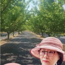 노영순농장 네이버블로그