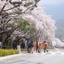 2018년4월14일 #서울대공원둘레길 #산림욕장 힐링트레킹 (백구대장리딩) 이미지