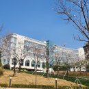 일반·학부모 독서,하다 1기 | HIFS 초등 소개 - 1학년 재학생 후기
