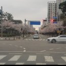 수원-0231 네이버블로그