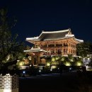 궁궐 | 청주근교 국립세종수목원 야간개장 후기ㅣ입장료·주차장·궁궐정원