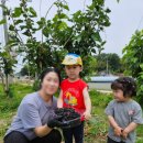 햇빛농장 이미지