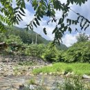 팀 노마드 원주점 | 8월 모음집 (너무 덥고 너무 습했던..)|강원도 여름휴가, 까치둥지, 팀노마드 원주 드랍인