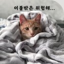 900쌤영어