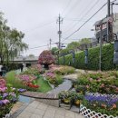 내린천의 봄 이미지