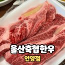 울산축협한우프라자(언양점) | 울산축협한우프라자 언양점 가족외식 소고기 맛집
