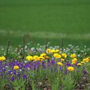 길동무도장 이미지