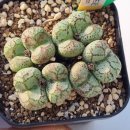 우근농장 이미지