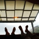 세쌍둥이네 풀꽃세상 이미지