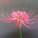 화곡3동 이미지