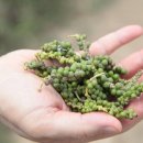 금식농장 이미지