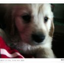 두아름농장 이미지