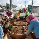 임피면사무소 이미지