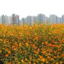 배곧생명공원 이미지