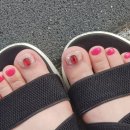 마이미샵 이미지