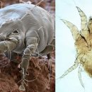 갈매동물병원 이미지