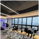 임봉수GYM | 분평동PT 임봉수GYM에서의 맞춤형 운동 체험 후기