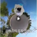 씨브레인코딩에듀학원 | 겁 많은 사람의 2026 상반기 공포/호러물 후기 (살목지, 리 크로닌의 미이라, 기리고🙏)