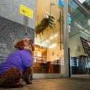 튼튼온누리 동물약국 이미지