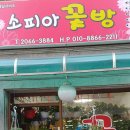 소피아꽃방