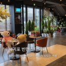 카페빈앤스타 프리미엄원두 제대로 느낀 서귀포중문카페 후기