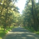 해송여관 이미지