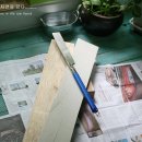 화이트 하우스 이미지