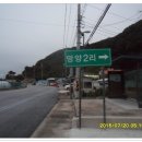 기성망양 이미지