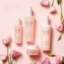 카멜리아 이미지