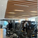 스포데이 휘트니스 | 안성헬스장 끝판왕, 시설·관리·혜택까지 모두 잡은 스포데이 휘트니스 안성 아양점 리얼 후기