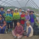 원천마을 이미지